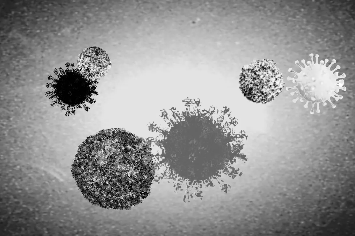 コロナで亡くなった場合のどの葬儀社に連絡すればいい？