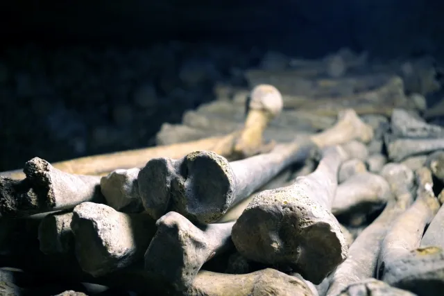 放置していた遺骨を今更引き取りたいという親族。どうしたらいい？