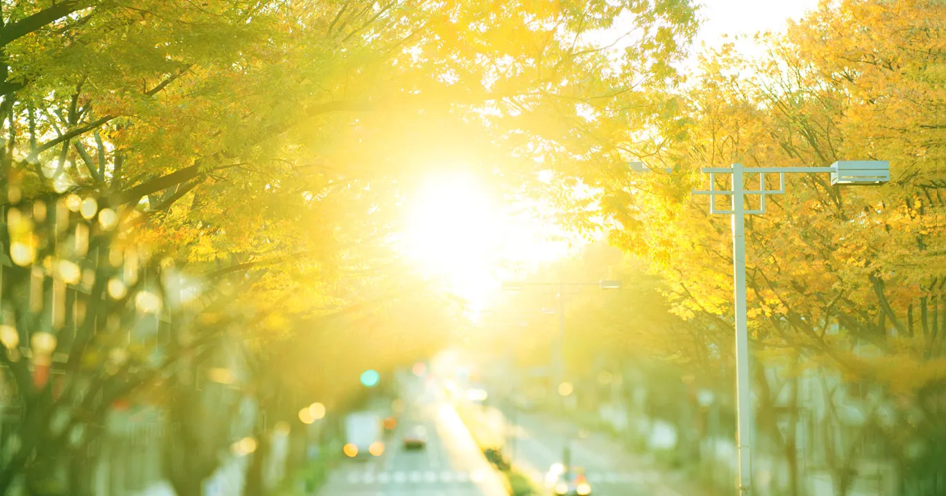 津乃国屋総本店