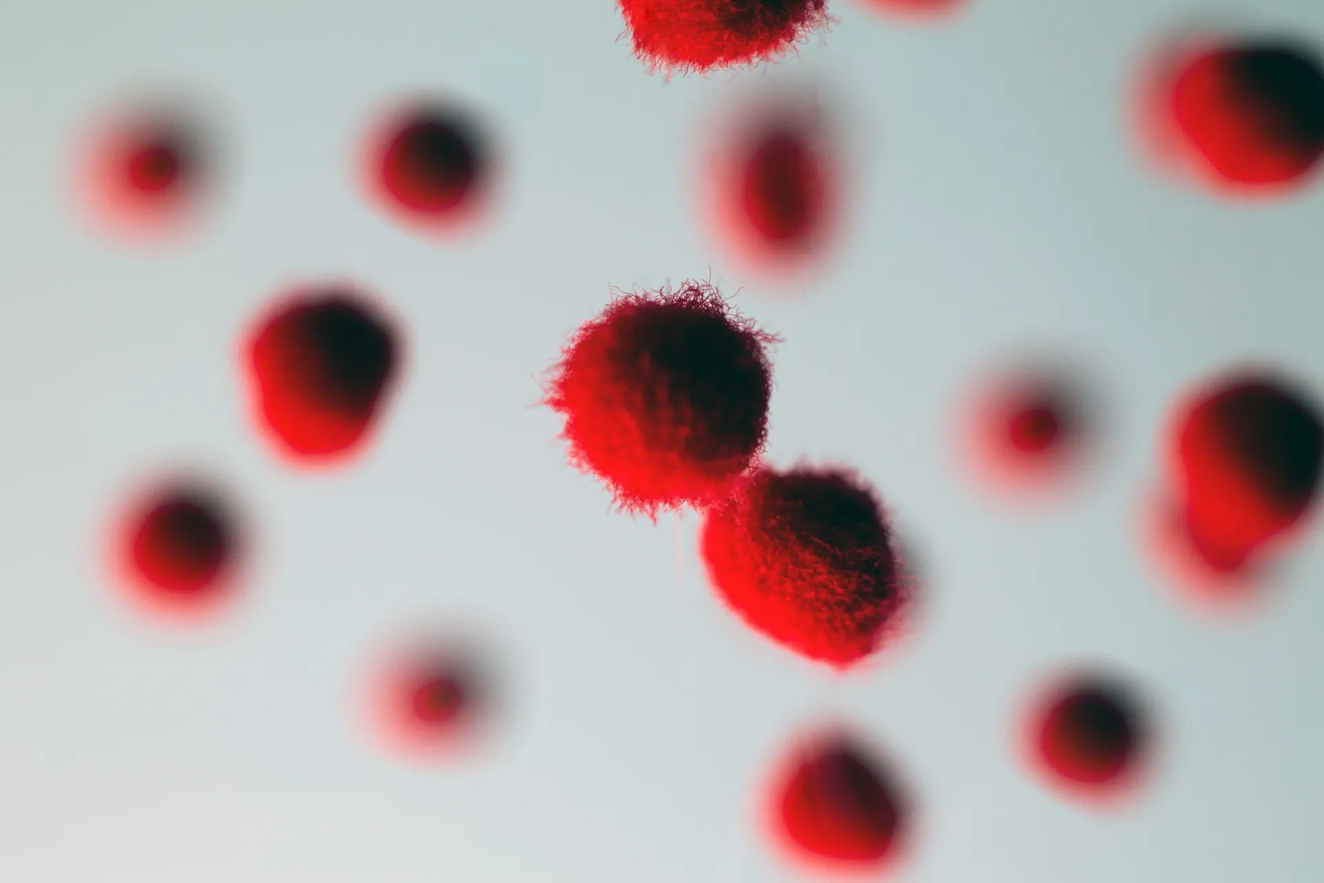 東京都「八王子市」でコロナ感染者に対応可能な葬儀社