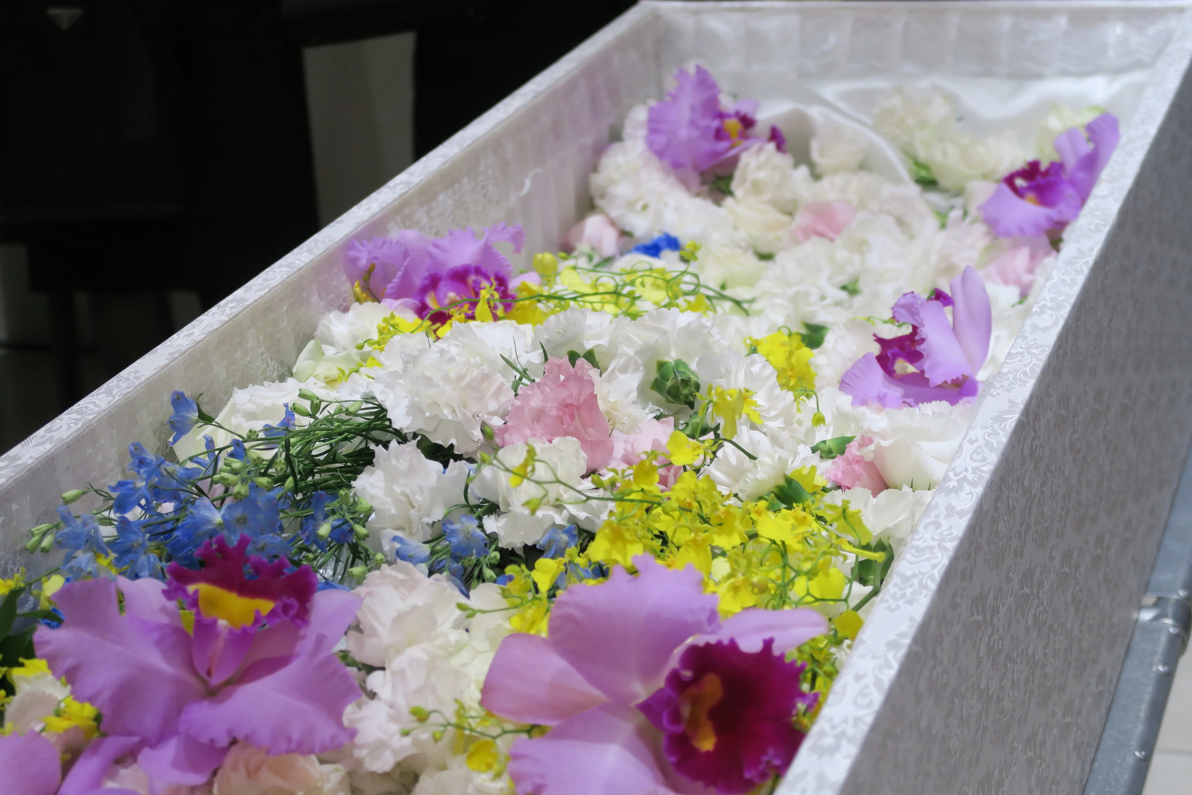 市川市や近隣で家族葬を予定しています。費用や施設利用について教えてください。