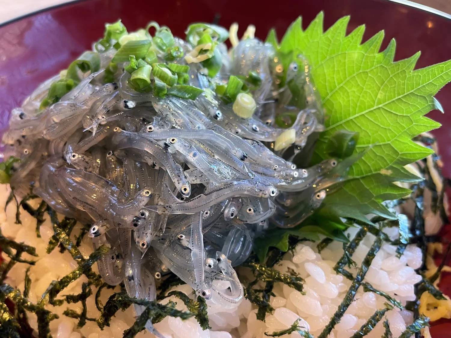 しらす好きだった父の棺に“生きたしらす”を入れて火葬したい…衛生面や火葬場のルール上、問題はありますか？